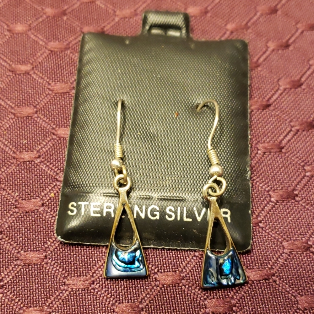 Abalone shell earrings